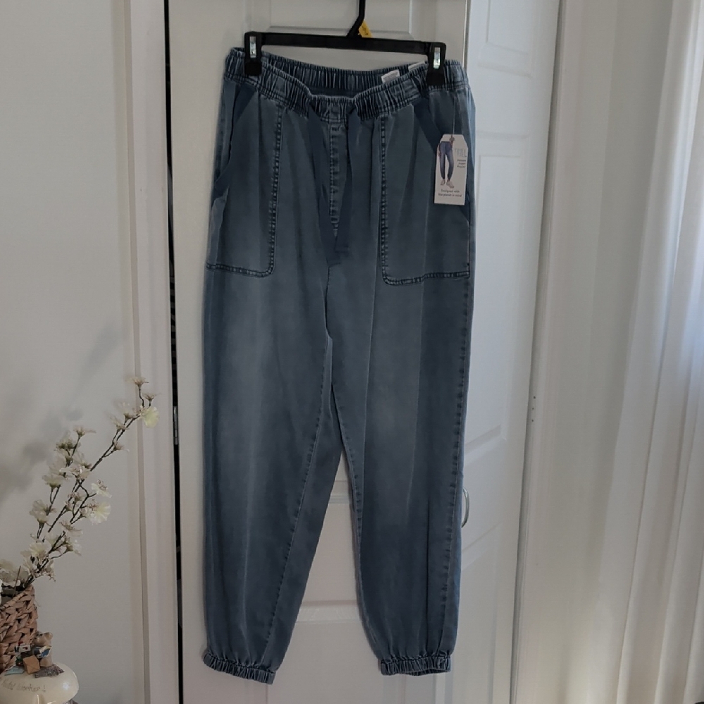 Time and Tru Soft Denim Blue Joggers